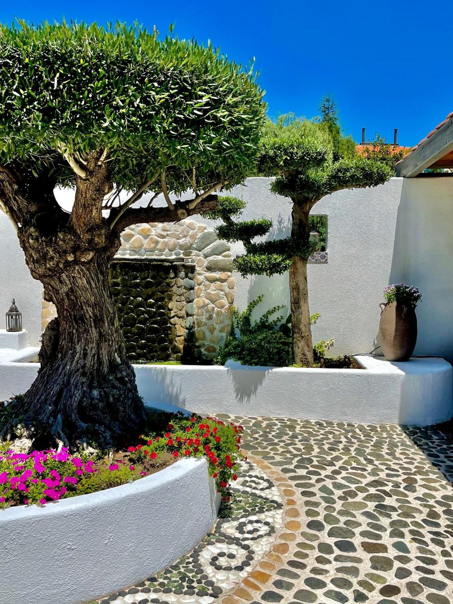 Casa De Oro Alma Aparthotel Sozopol Exterior photo